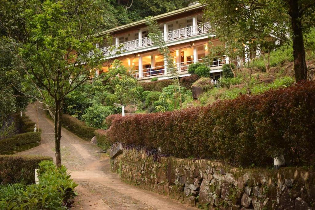 Forest Edge Hotel Ginigathena Екстериор снимка